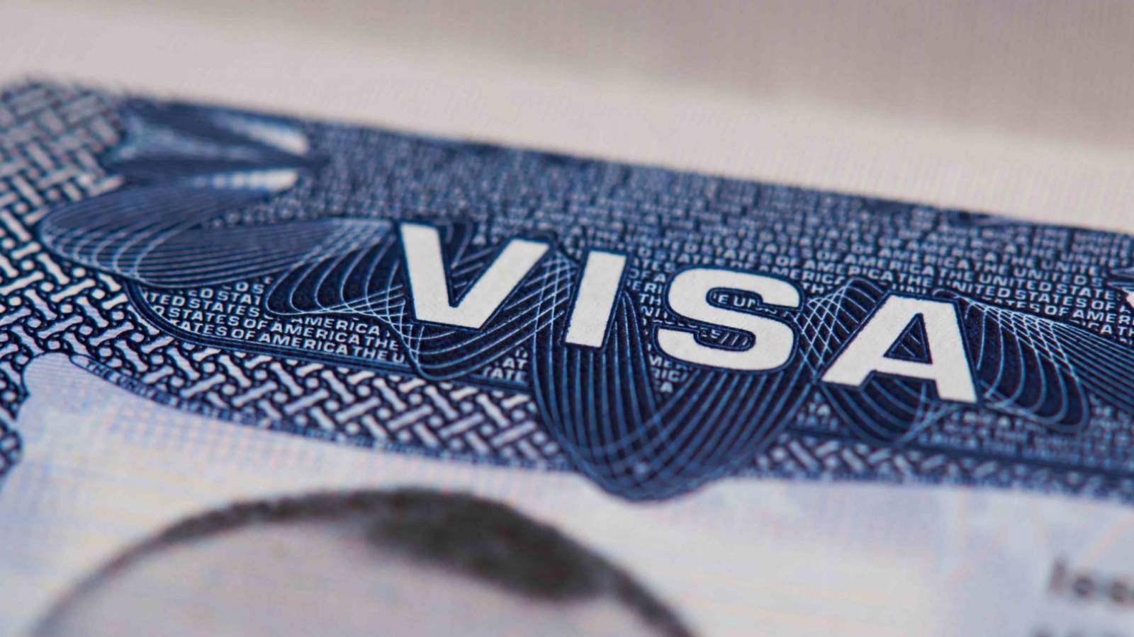 The immigration law firm helps you process your Canada startup visa ...