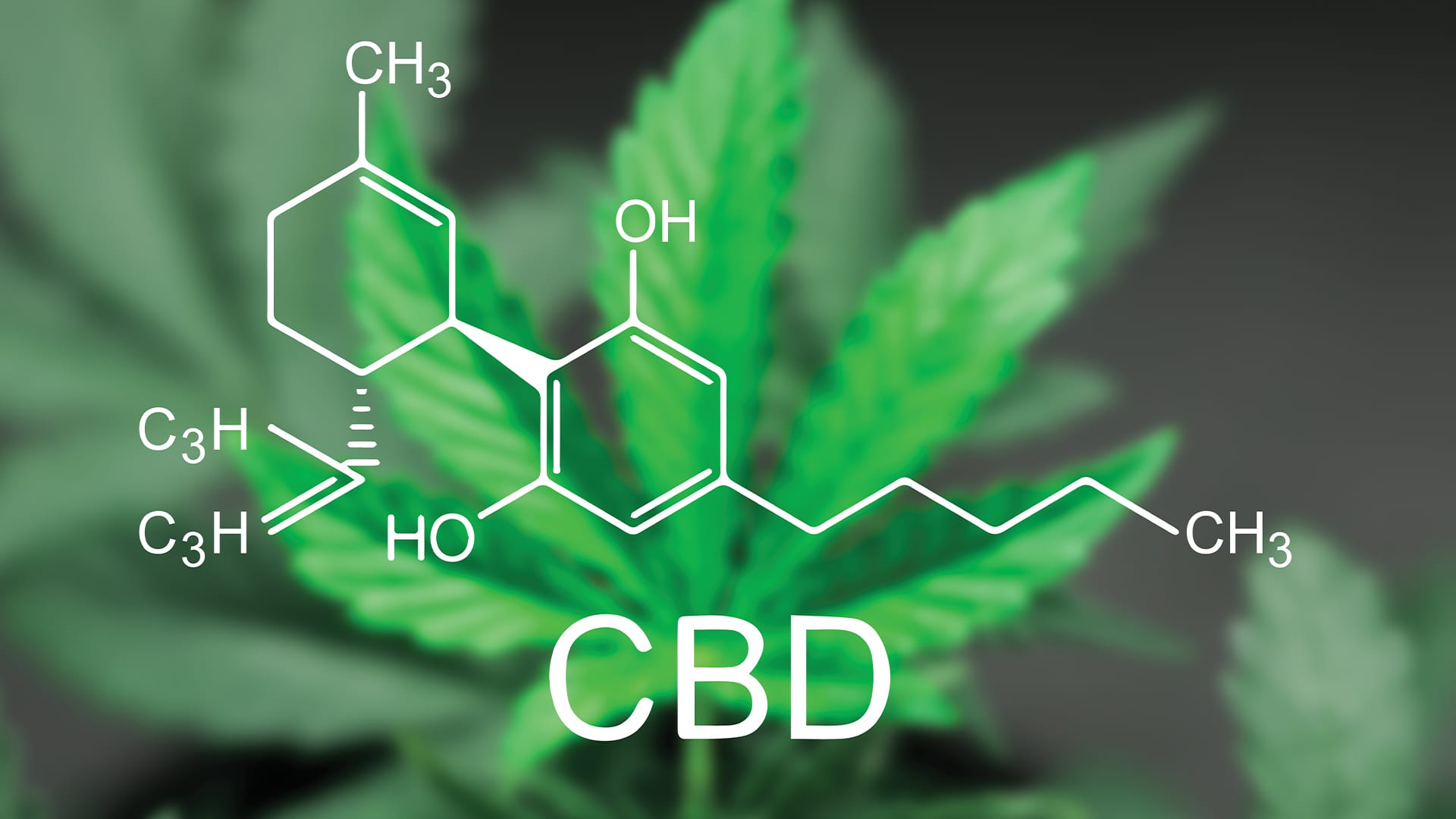 Get Cbd Oil :   Reliable Provide
