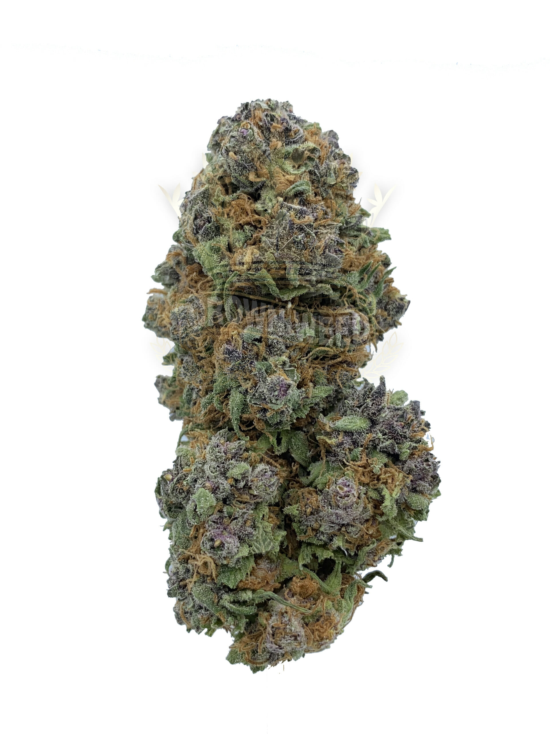 Acquire the necessary information about dispensary weed cannabis vapers.