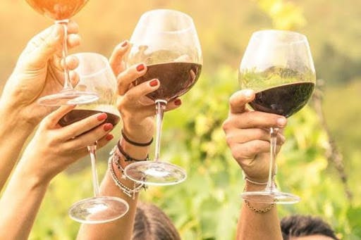 Tuscany Wine Experience Suggestions