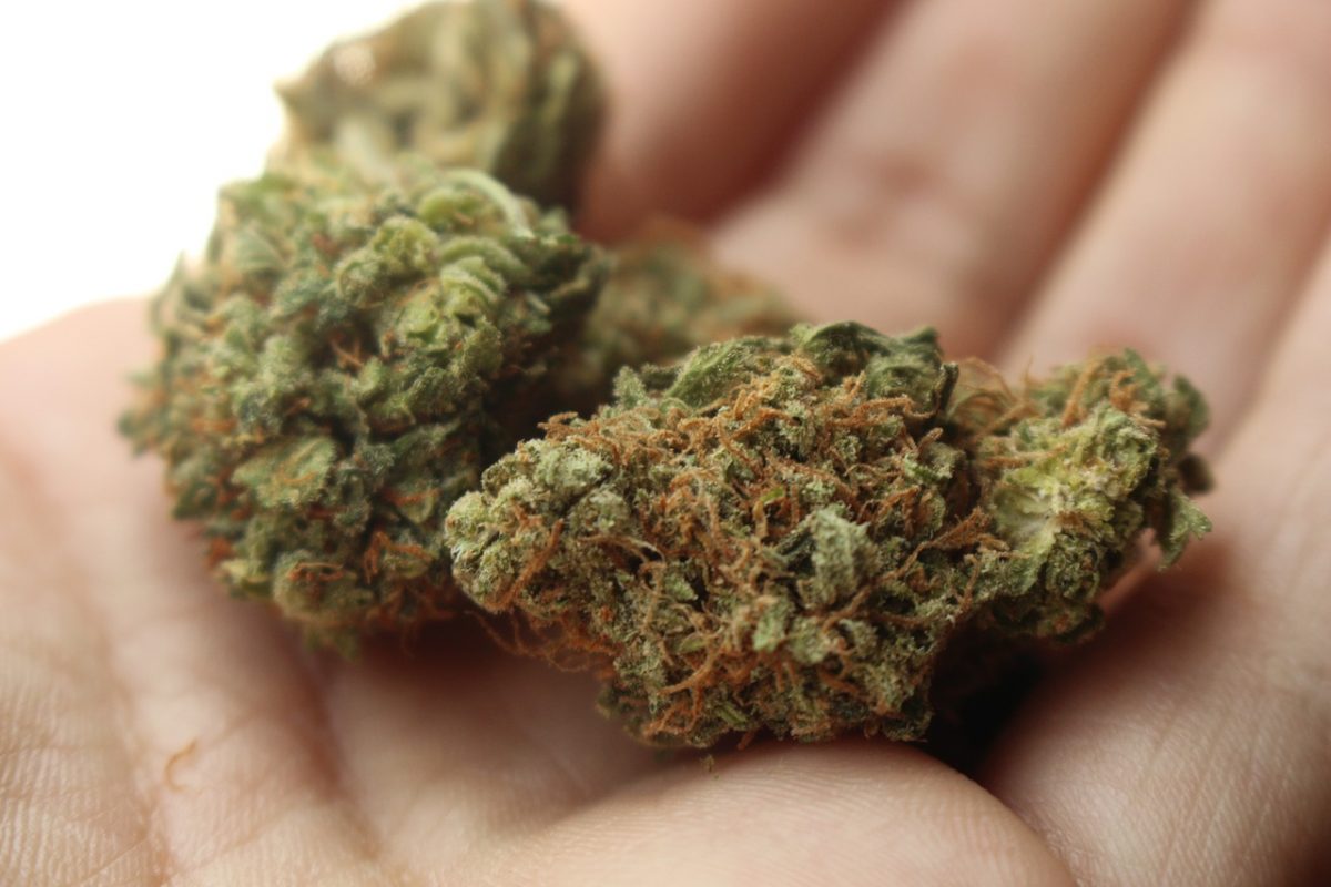 Tricks on how you can locate cannabis dispensary online