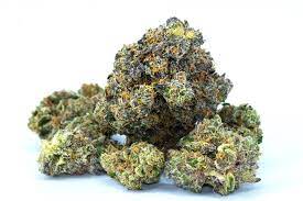 Find out what the Cannabis Light task is approximately and why it is the most trusted weed option