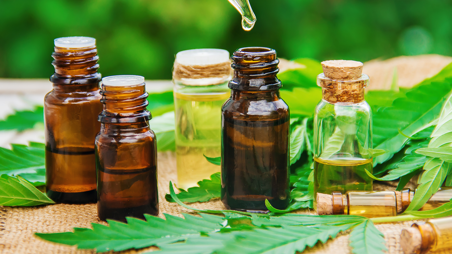 Recommend to your friends where to buy CBD flowers (CBD blütenKaufen)