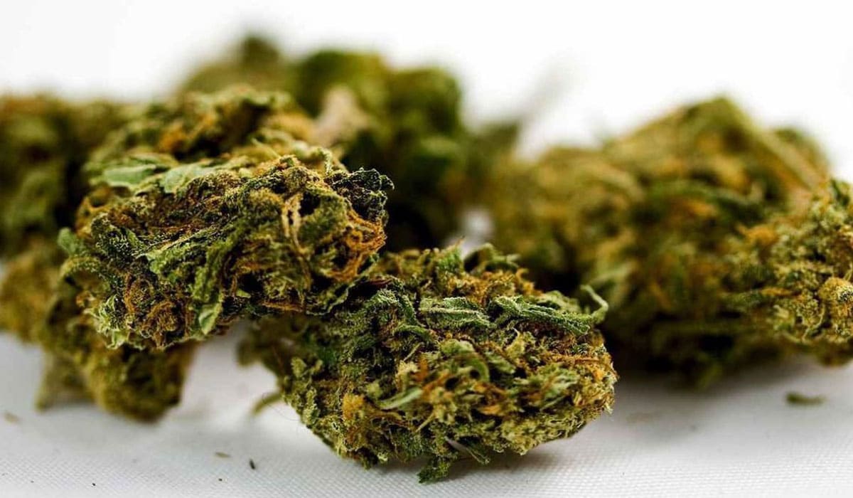What are the advantages of buying weed online?