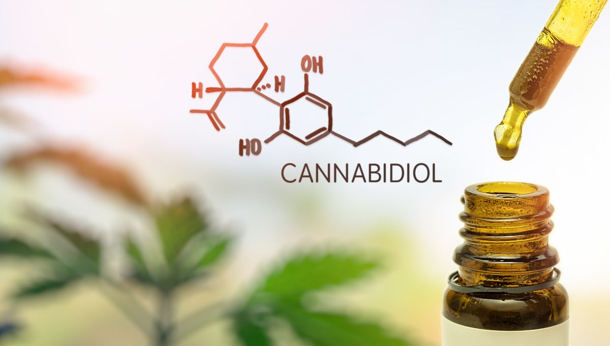 Find out how you can find a CBD Shop in France that meets your quality-price expectations