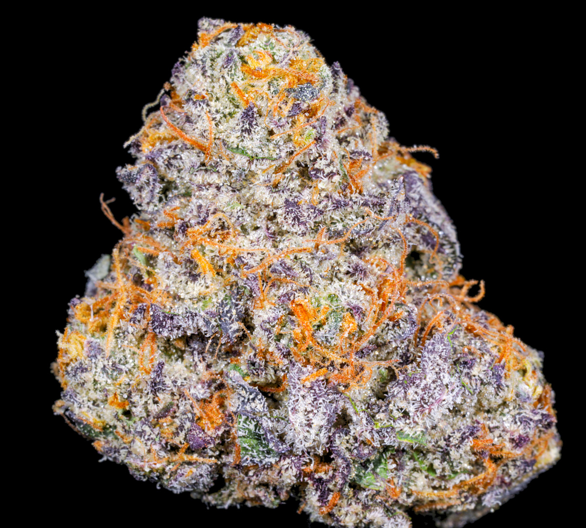 Why Online Shopping Is The Most In-demand Behavior For Cannabis Users