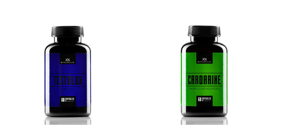 Improve your physical performance by buying Sarms(comprar SARMs)