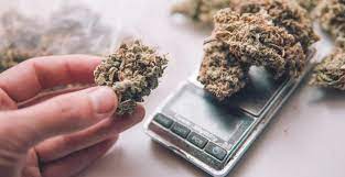 With the service of cannabis delivery Vancouver you can enjoy all the medical benefits of cannabis