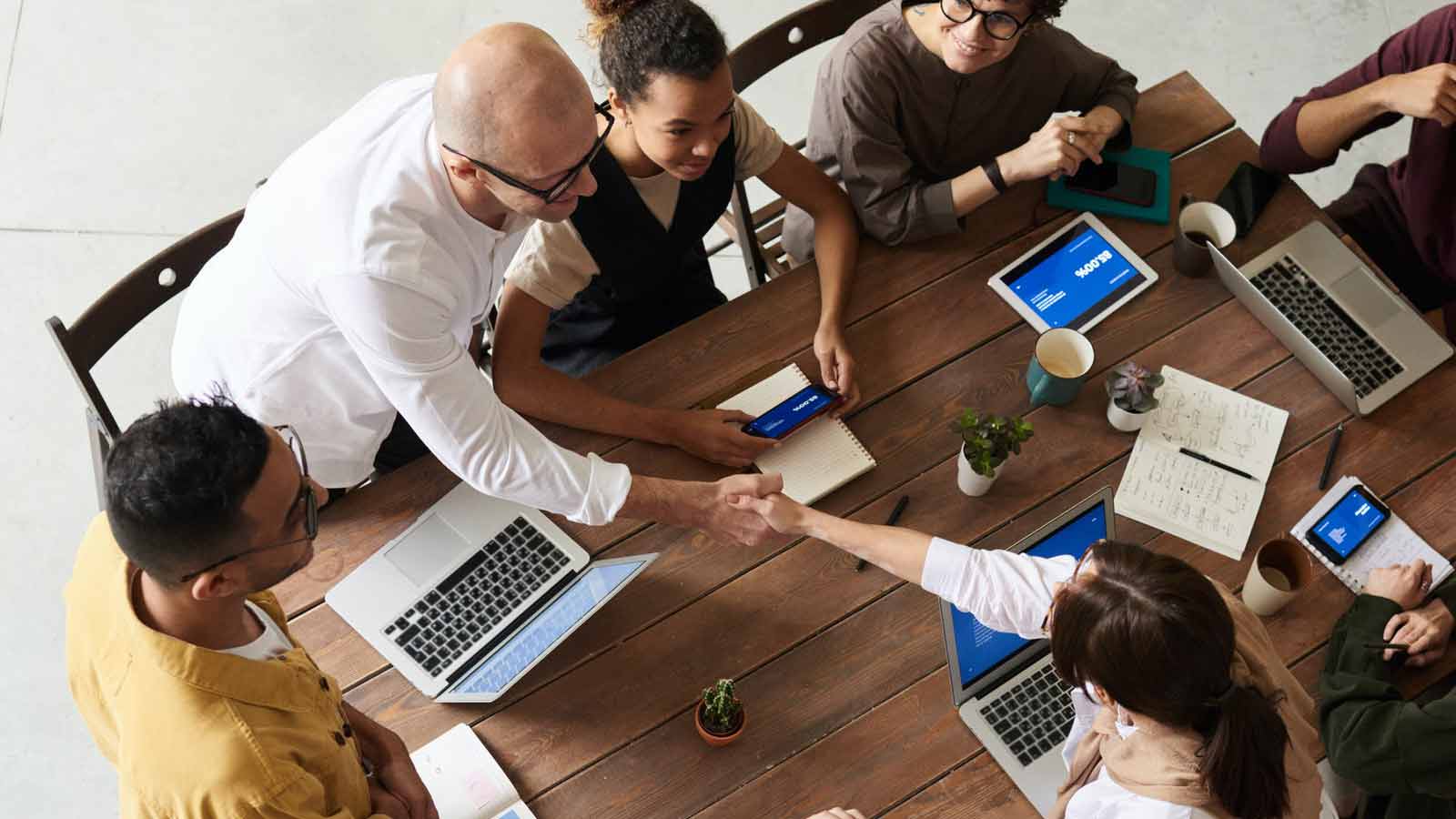 Save money and get the satisfaction of all your customers, with the white label seo services for agencies of the agency elevation website.