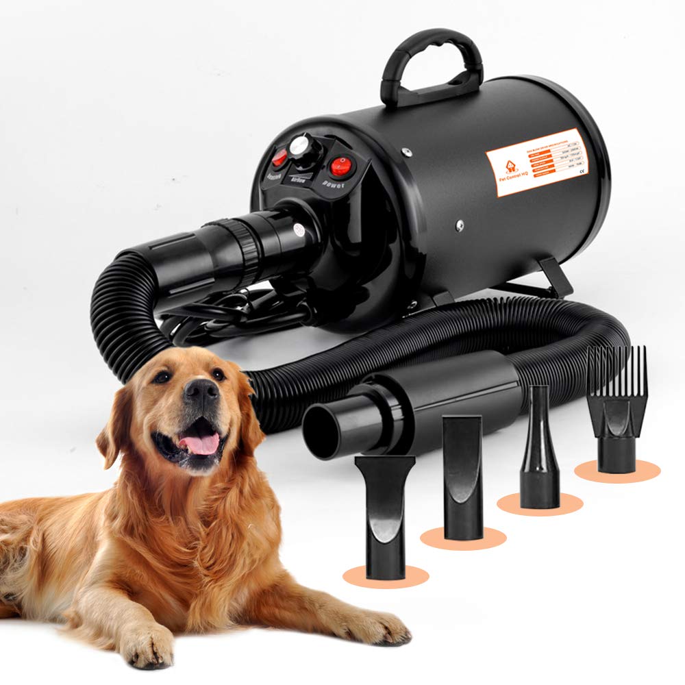 Get assist to invest in a dog paw cleaner and dryer
