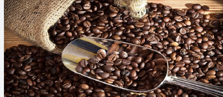 Transform Your Coffee Experience with premium Quality Aroma and Taste Of Our Handcrafted Blends