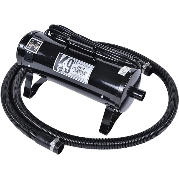 Doggie Blow Dryer: Keep Your Canine Companion Fresh