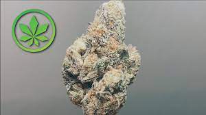 A Better Dispensary: Setting the Gold Standard in Cannabis
